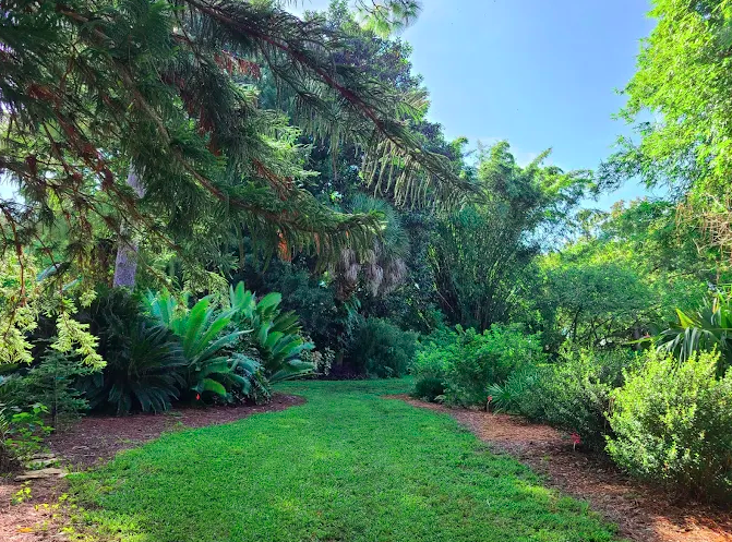 a green lawn with trees and bushes