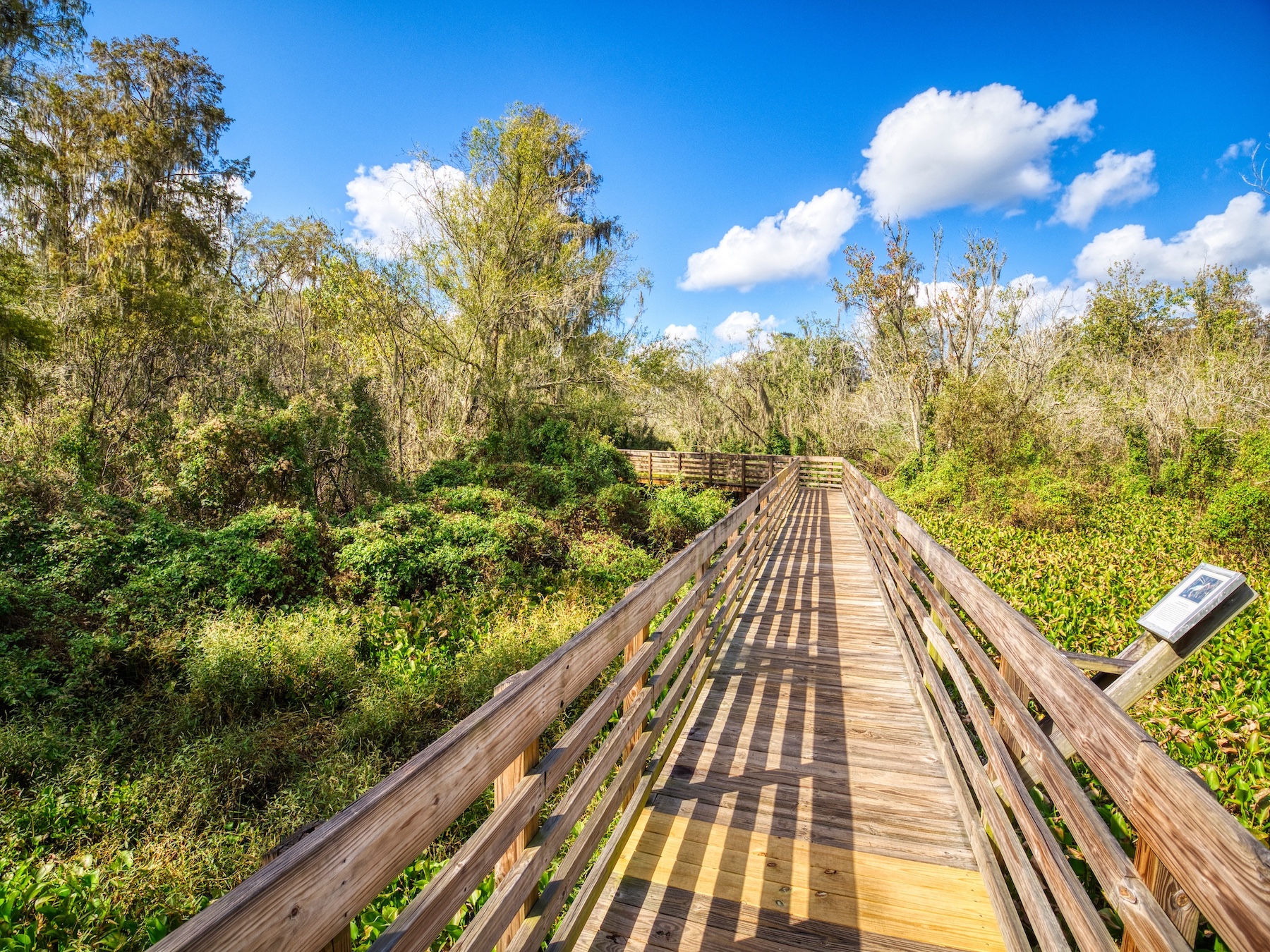 a wooden bridge over a forest