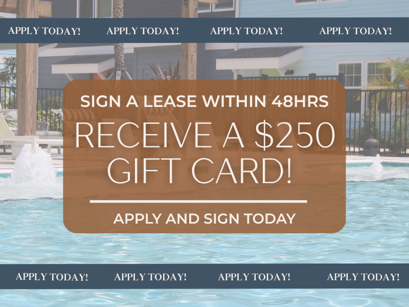 $250 gift card special popup